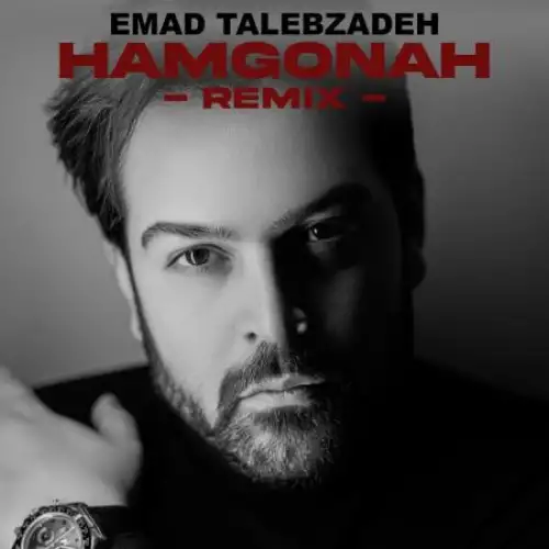 همگناه (ریمیکس)